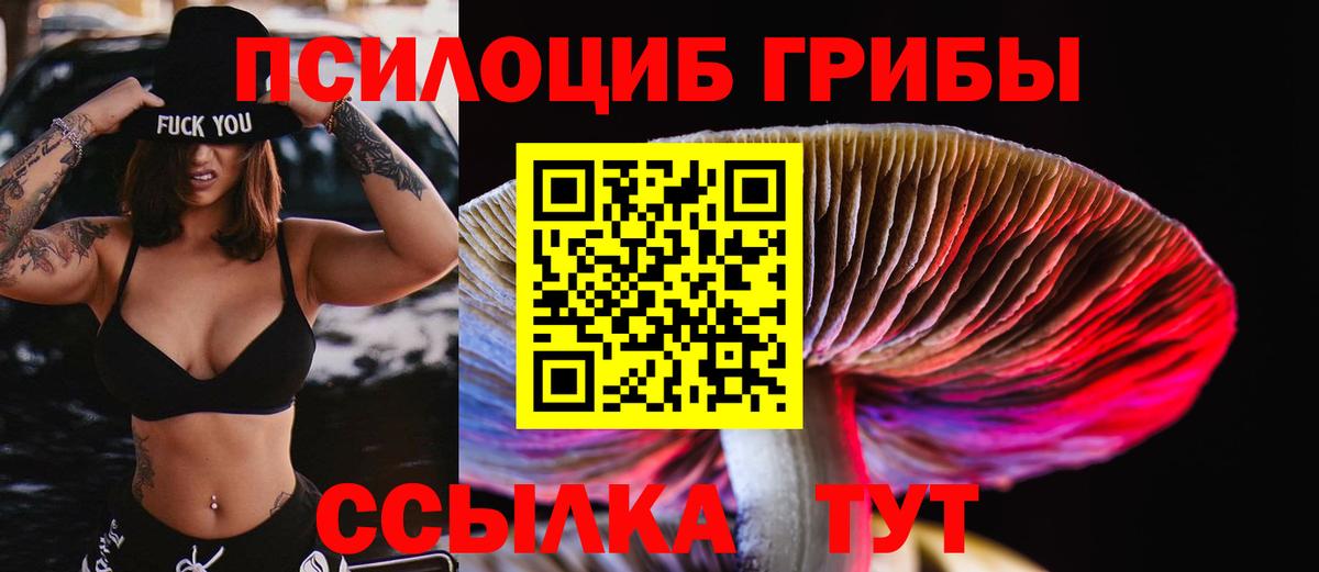 Псилоцибиновые грибы Magic Shrooms  Псилоцибиновые грибы Cubensis  Татарск  Вход с VPN 